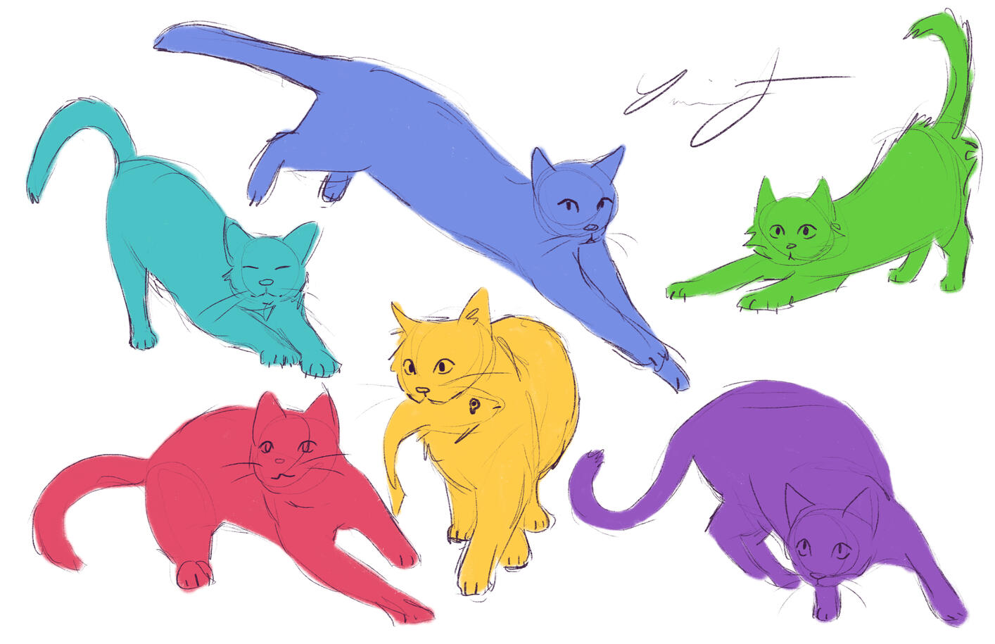 Cat Cat